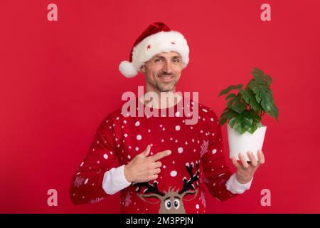 Pot de conservation de Santa avec plante. Portrait d'un homme d'âge moyen dans un chandail isolé sur fond rouge. Concept de vacances, bonheur, émotions et Noël Banque D'Images