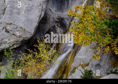 Vallée de Hecho, chaîne de montagnes pyrénéennes, Espagne Banque D'Images