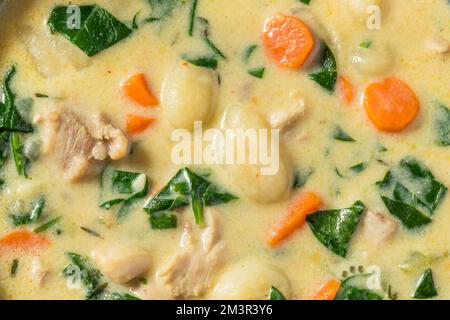 Soupe crémeuse de poulet et de gnocchi faite maison avec carottes et épinards Banque D'Images