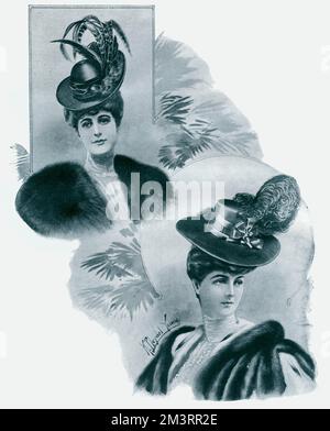 Femmes édouardiennes portant des chapeaux avant légèrement titrés, décorées d'un oiseau, de plumes, de plumes et d'arcs. Date: 1905 Banque D'Images