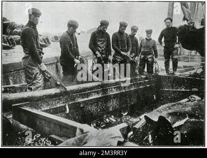 Récolte de la mer : les pêcheurs nettoient les filets pendant la saison du hareng de Yarmouth, de 650 à 700 Scotch-boats d'Aberdeen et d'autres ports du nord sont venus pour aider à se rassembler pendant la récolte. Avec eux sont venus les femmes Scotch à qui appartient presque exclusivement le processus de nettoyage du poisson. Date: 1905 Banque D'Images