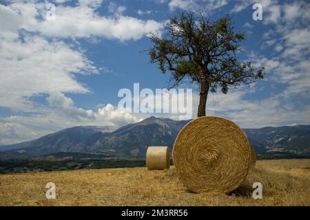 Image de rouleaux de balles de paille devant un arbre isolé avec la montagne Majella en arrière-plan et le ciel bleu avec des nuages épars. Banque D'Images