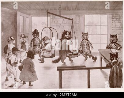 Illustration par Louis Wain, montrant des chats comme des humains pesés avant une course à cheval. Date: 1901 Banque D'Images