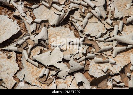 La surface fissurée de la terre et du sol due au réchauffement climatique et à l'émission de dioxyde de carbone, sauvent l'environnement de la planète Terre Banque D'Images