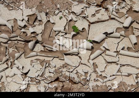 La surface fissurée de la terre et du sol due au réchauffement climatique et à l'émission de dioxyde de carbone, sauvent l'environnement de la planète Terre Banque D'Images