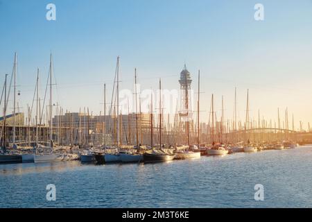 Bateaux à voile dans le port, de nombreux yachts amarrés dans le port maritime, transport maritime moderne, mode de vie actif, concept de loisirs Banque D'Images