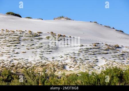 Paysage avec des dunes et des zones sablonneuses à Paso Vergara - traversant la frontière du Chili à l'Argentine tout en voyageant en Amérique du Sud Banque D'Images