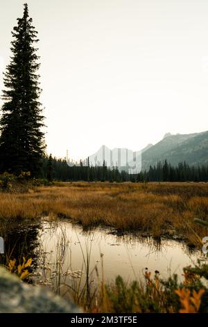 le washington pass donne sur l'entrée est du parc national des cascades nord, dans le centre-nord de l'état de washington. Banque D'Images