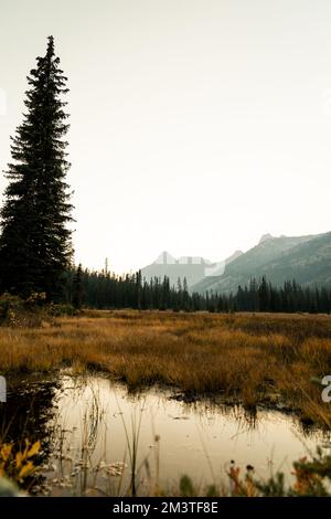 le washington pass donne sur l'entrée est du parc national des cascades nord, dans le centre-nord de l'état de washington. Banque D'Images