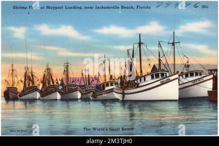 La flotte de crevettes à Mayport Landing, près de Jacksonville Beach, Floride , Bateaux, Tichnor Brothers Collection, Cartes postales des États-Unis Banque D'Images