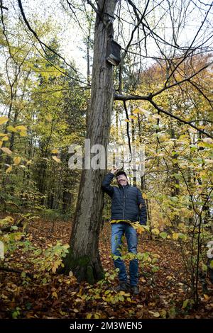 Hameln, Allemagne. 17th novembre 2022. Rainer Marcek, superviseur régional de la chauve-souris de l'Agence d'État de Basse-Saxe pour la gestion de l'eau, la protection côtière et la conservation de la nature (NLWKN), vérifie une boîte à rôtis de chauve-souris avec une lampe de poche. L'expert de la chauve-souris observe un déclin de la population de la Weserbergland. (À dpa 'Comment les éoliennes pourraient devenir plus sûres pour les chauves-souris') Credit: Swen Pförtner/dpa/Alay Live News Banque D'Images