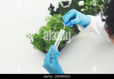 Ce sera suffisant pour l'expérience. Prise de vue en grand angle d'une scientifique féminine méconnaissable mettant un échantillon de plante dans un tube à essai tout en travaillant Banque D'Images