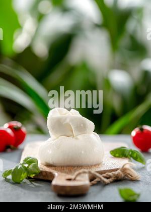 Fromage italien frais sur planche à découper en bois. Boule de burrata ou burratina blanche, basilic et tomates décorés. Fromage burrata blanc doux esthétique, fond vert flou. Verticale. Copier l'espace Banque D'Images