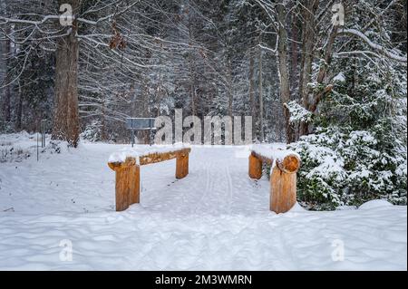 Sentier de randonnée menant au pont piétonnier en bois au-dessus du ruisseau. Tempête de neige en hiver. Banque D'Images