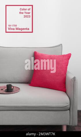 Viva magenta - couleur tendance de l'année 2023 à l'intérieur. Canapé gris et magenta rouge dans un intérieur moderne de style scandinave. Recadrage vertical pour les médias sociaux, espace de copie Banque D'Images