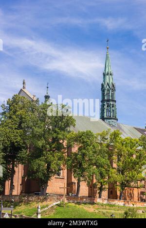 Cathédrale historique dans le centre de Sandomierz, Pologne Banque D'Images