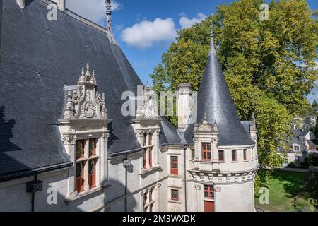 La tour et le toit du Château d'Azay-le-Rideau Banque D'Images