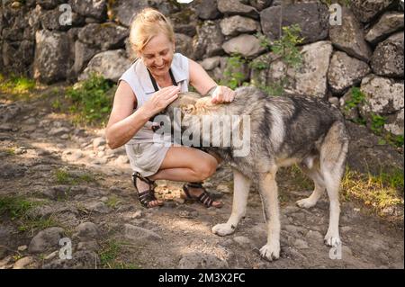 Heureux souriant senior mature femme touriste marchant dehors embrassant sans-abri grand chien. Concept de vieux sportifs et animaux de compagnie actifs à la retraite Banque D'Images
