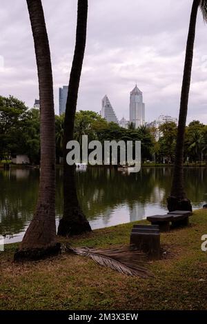 Parc Lumphini à Bangkok, Thaïlande avec lac artificiel et gratte-ciels en arrière-plan Banque D'Images