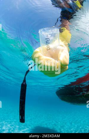 Biologiste marin prélever des échantillons d'eau à partir d'un bateau pour tester la qualité de l'eau Banque D'Images