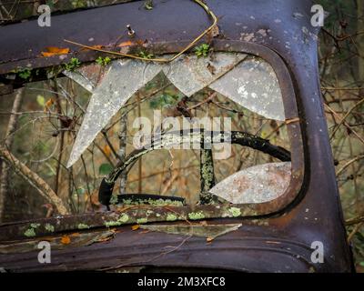 Vieilles voitures et camions abandonnés rouillés lors d'une journée de brouillard à Crawfordville, en Floride Banque D'Images