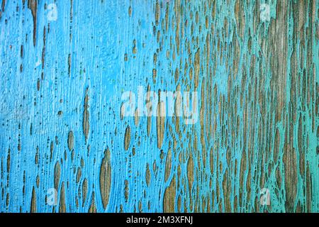 vieux mur en bois avec vieux décoloré peeling vert, peinture jaune Banque D'Images