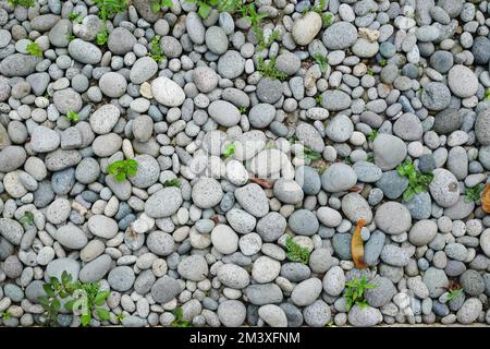 Vue de dessus des textures de roche ronde Banque D'Images
