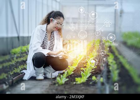 Concept de science et de technologie agricole moderne. Icône technologique IOT du travail du personnel du chercheur agricole. Banque D'Images