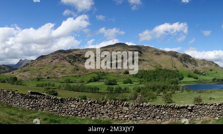 Little Langdale Tarn & Lingmoor Fell, Little Langdlae, Lake District National Park, Cumbria, Angleterre, Royaume-Uni en mai Banque D'Images