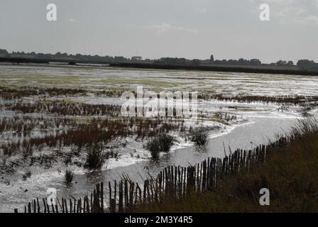 Soleil argenté sur les vasières et la végétation, dans les marais de Hazelwood, sur l'estuaire de l'ADLE et de l'Ore, Suffolk, 2nd octobre 2022. Banque D'Images