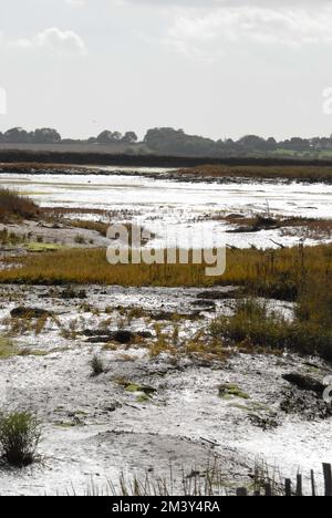 Soleil argenté sur les vasières et la végétation, dans les marais de Hazelwood, sur l'estuaire de l'ADLE et de l'Ore, Suffolk, 2nd octobre 2022. Banque D'Images