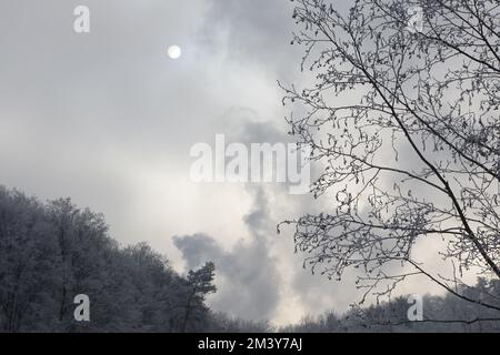 Schneebematte Äste mit Sonnenlicht von hinten durch Wolken Banque D'Images