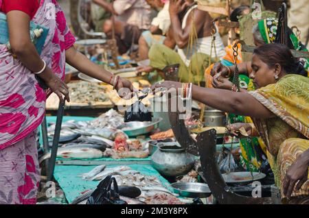 Vendeur de poisson dans les rues Banque D'Images