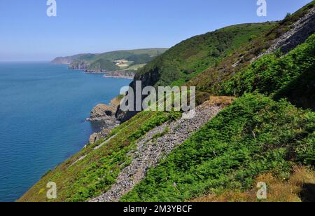 Le South West Coast Path, qui s'enroule le le long de falaises abruptes couvertes de saumâtres, traverse une forêt de chênes sessiles entre Woody Bay et Heddon Mouth sur Exmoor NAT Banque D'Images