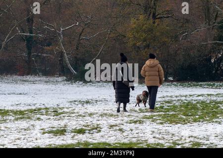 Farnham Common, Buckinghamshire, Royaume-Uni. 17th décembre 2022. Les marcheurs profitent de la dernière neige sur une autre journée très glacielle dans les magnifiques bois de Burnham Beeches dans Buckinghamshire. Un avertissement météo jaune en place ce soir pour la glace. Les températures sont, cependant, dues à la hausse substantielle demain suivi de fortes pluies. Crédit : Maureen McLean/Alay Live News Banque D'Images