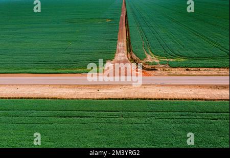 Champs de soja géants, Sinop, Mato Grosso, Brésil Banque D'Images