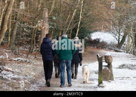 Farnham Common, Buckinghamshire, Royaume-Uni. 17th décembre 2022. Les marcheurs profitent de la dernière neige sur une autre journée très glacielle dans les magnifiques bois de Burnham Beeches dans Buckinghamshire. Un avertissement météo jaune en place ce soir pour la glace. Les températures sont, cependant, dues à la hausse substantielle demain suivi de fortes pluies. Crédit : Maureen McLean/Alay Live News Banque D'Images