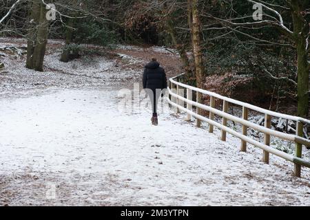 Farnham Common, Buckinghamshire, Royaume-Uni. 17th décembre 2022. Les marcheurs profitent de la dernière neige sur une autre journée très glacielle dans les magnifiques bois de Burnham Beeches dans Buckinghamshire. Un avertissement météo jaune en place ce soir pour la glace. Les températures sont, cependant, dues à la hausse substantielle demain suivi de fortes pluies. Crédit : Maureen McLean/Alay Live News Banque D'Images