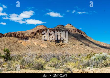 Mojave National Preserve en hiver, Californie, Etats-Unis Banque D'Images