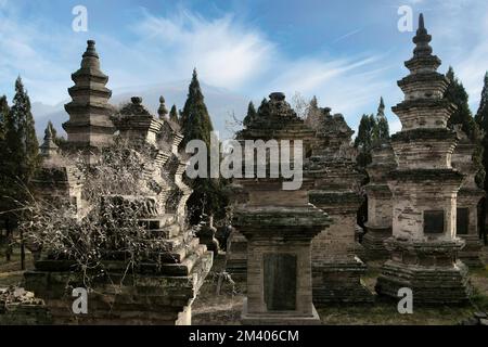 Forêt de pagodes au temple de Shaolin en Chine Banque D'Images