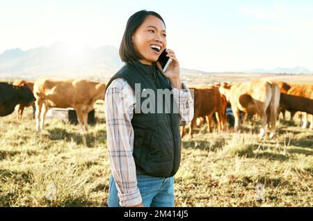 Vache, femme ou agriculteur sur un appel téléphonique dans la nature parlant, la communication ou parler de la production d'élevage de bétail. Succès, agriculture ou travailleur heureux Banque D'Images