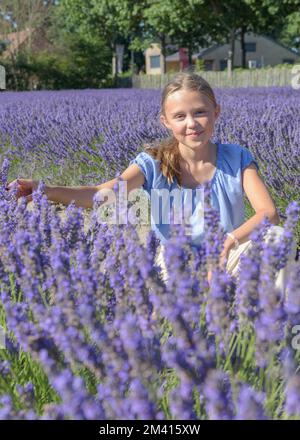 Une jeune fille de l'adolescence se tient dans un champ de lavande. Joyeux adolescent avec de longs cheveux Banque D'Images