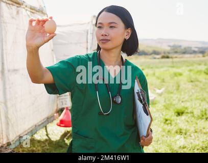 Femme asiatique, œuf de poulet et vétérinaire à la ferme vérifiant la santé des œufs, le contrôle de la qualité ou l'inspection. Agro, éleveur de volaille et vétérinaire infirmière dans Banque D'Images