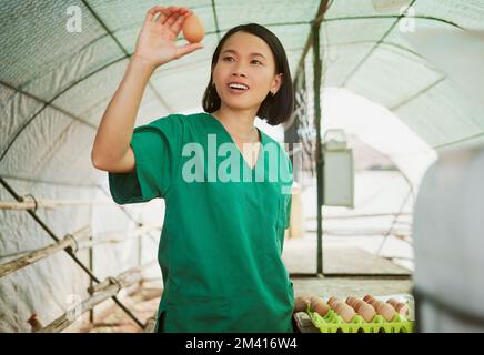 Femme, qualité des oeufs et vérifier sur la ferme, le poulet et la volaille avec l'agriculture et les oeufs naturels, biologiques et de gamme libre. Agriculteur japonais en serre Banque D'Images