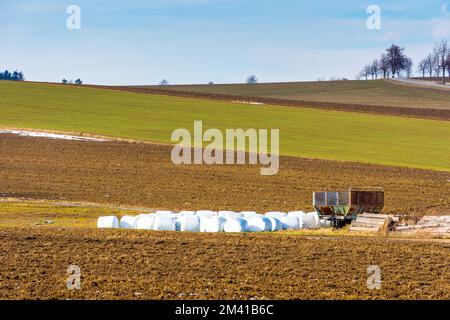 Balles de paille placées dans le champ en campagne. Paysage de grand champ et prairie. Agriculture et récolte dans la campagne tchèque Banque D'Images