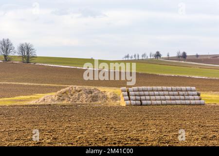 Balles de paille dans le champ agricole. Agriculture sur la campagne typique Banque D'Images