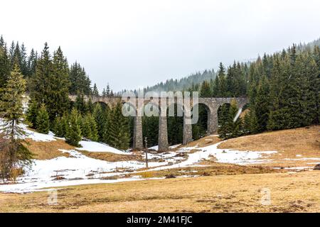 La Slovaquie train viaduc pont historique dans la forêt et les montagnes. Chemin de fer historique et transport. Prairie avec neige en premier plan, avec une teinte neigeuse Banque D'Images