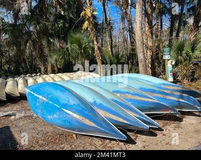 Canoës alignés pour les personnes à louer dans un parc d'état en Floride. Banque D'Images