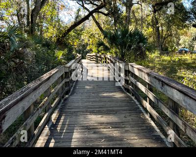 Les sentiers de randonnée d'un parc national à Orlando, en Floride. Banque D'Images