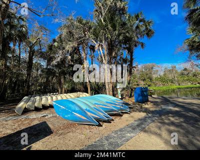 Canoës alignés pour les personnes à louer dans un parc d'état en Floride. Banque D'Images